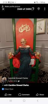 Evergreen Dress, full length, worn once, size 16 3