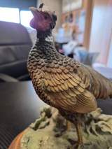 Giuseppe Armani Capodimonte Pheasant 5