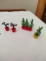 Sindy greenhouse 6